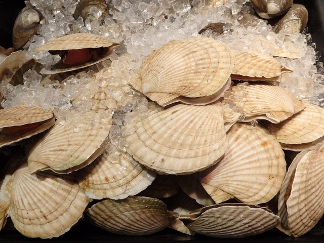 【経済】北海道ホタテ業界、中国の輸入停止に「動揺なし」　脱中国進み短期的影響少なく